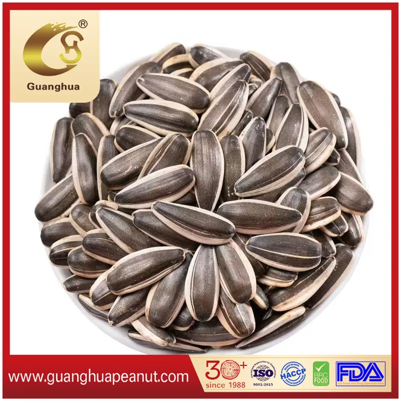 Good Color New Harvested Sunflower Seeds 363 Type