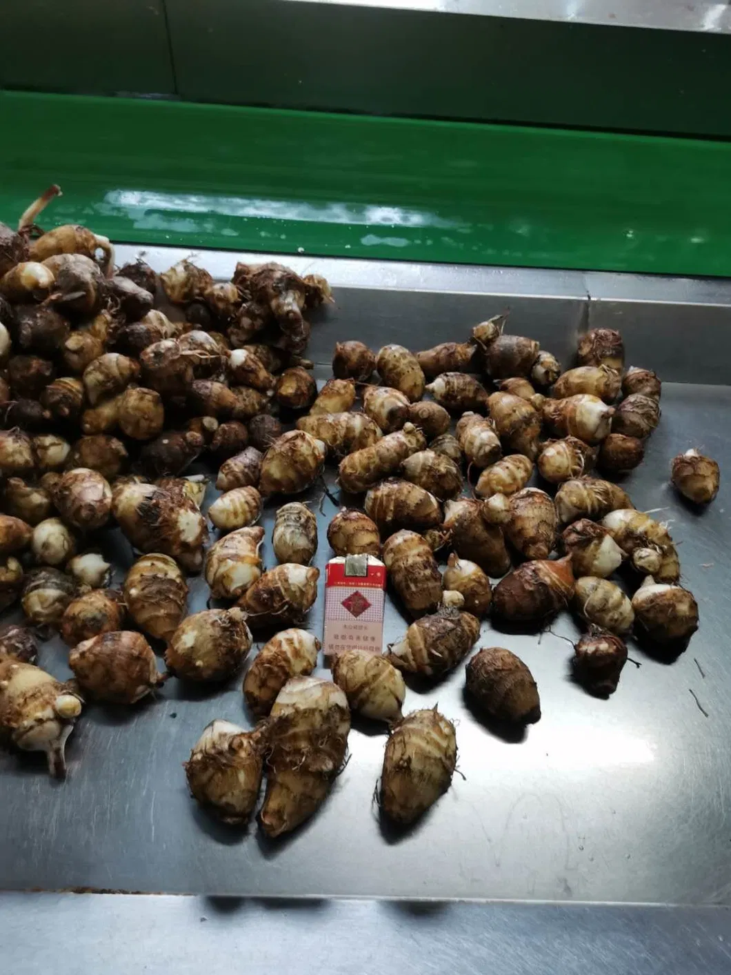 Good Quality and Price Taro Exported to Mideast