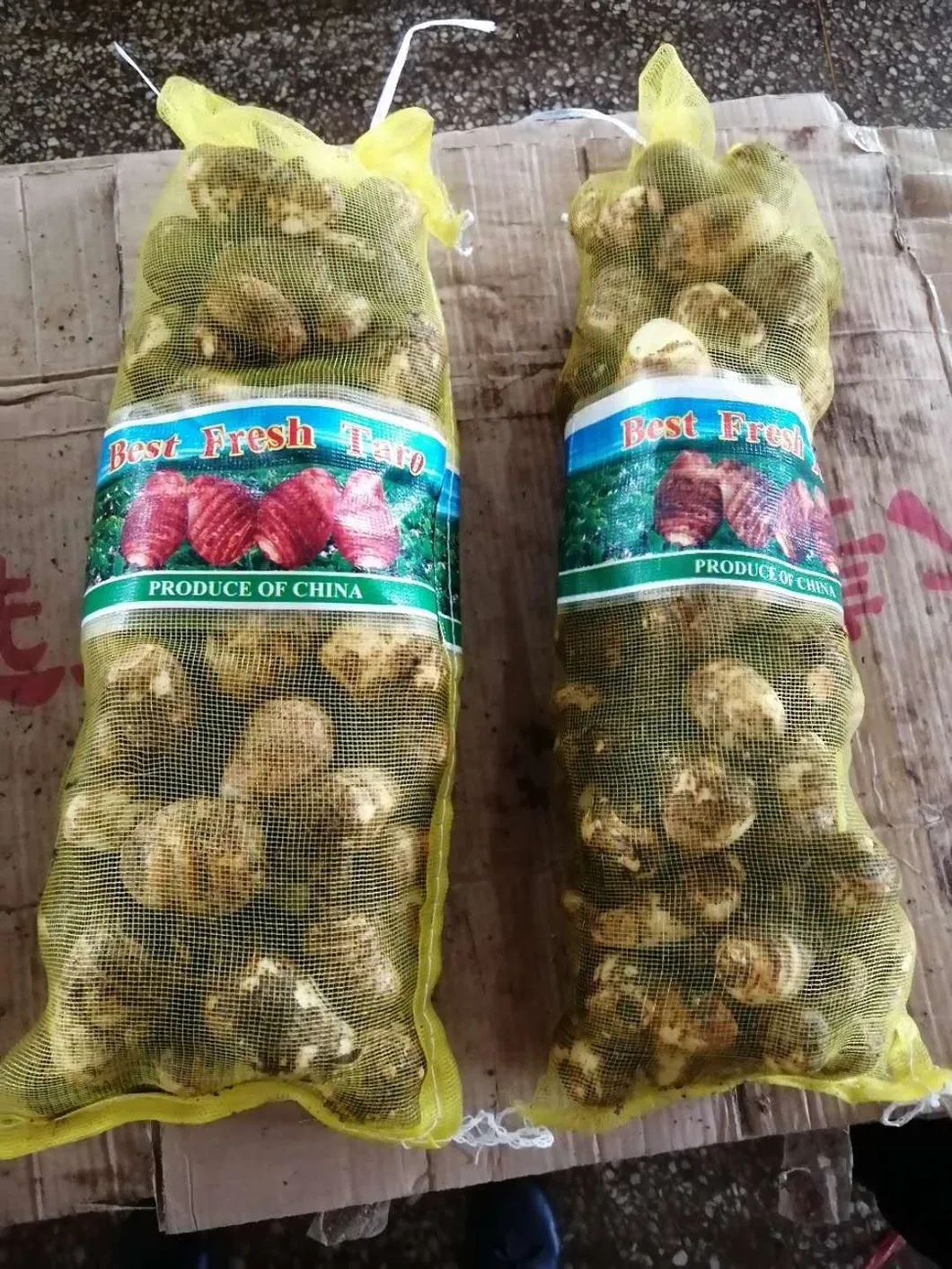 Good Quality and Price Taro Exported to Mideast