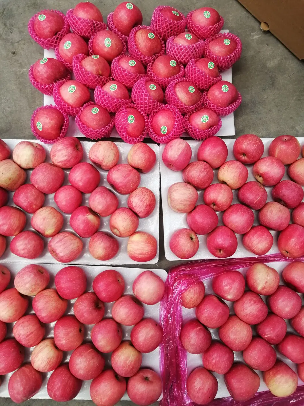 Good Quality Fresh Red Apple for Sale
