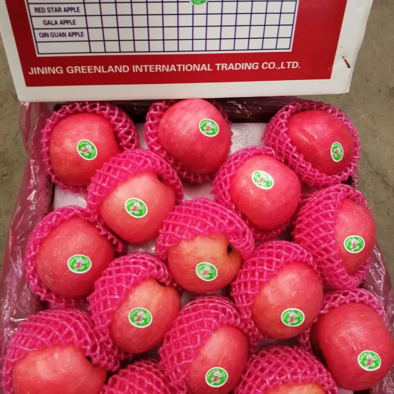 Good Quality Fresh Red Apple for Sale
