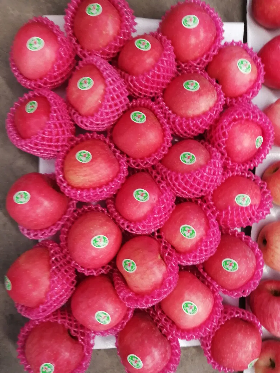 Good Quality Fresh Red Apple for Sale