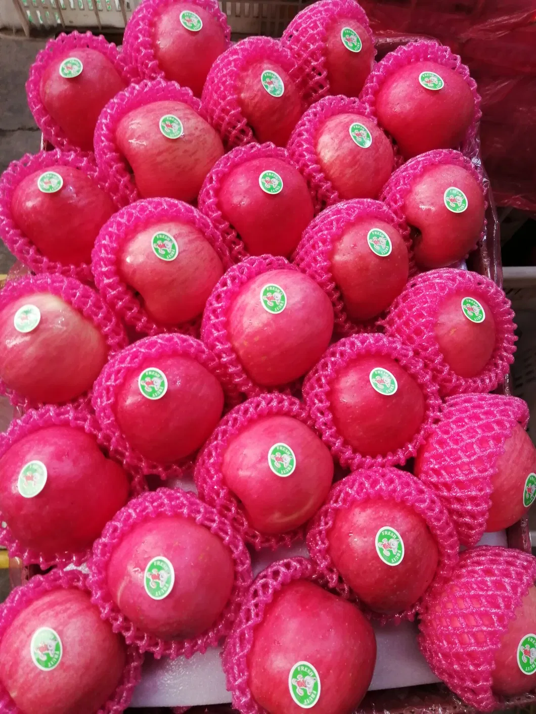 Good Quality Fresh Red Apple for Sale