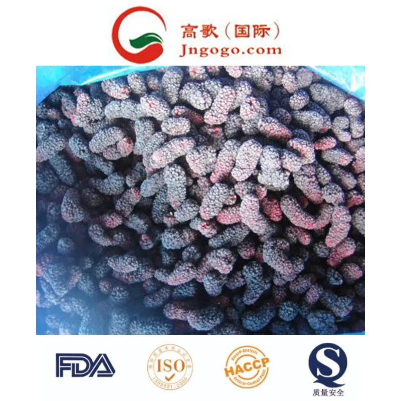 Good Quality IQF Frozen Mulberry for Export