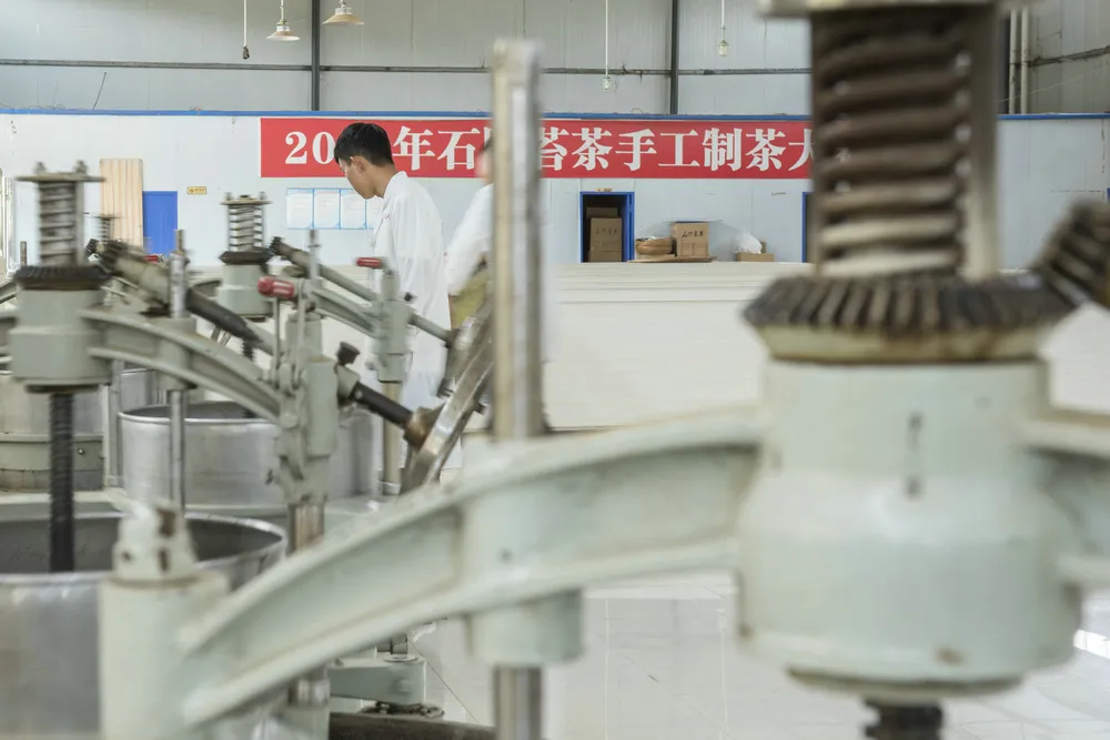 Good Taste Western Lake Dragon Well Longjing Green Tea, China Green Tea, Green Tea Longjing