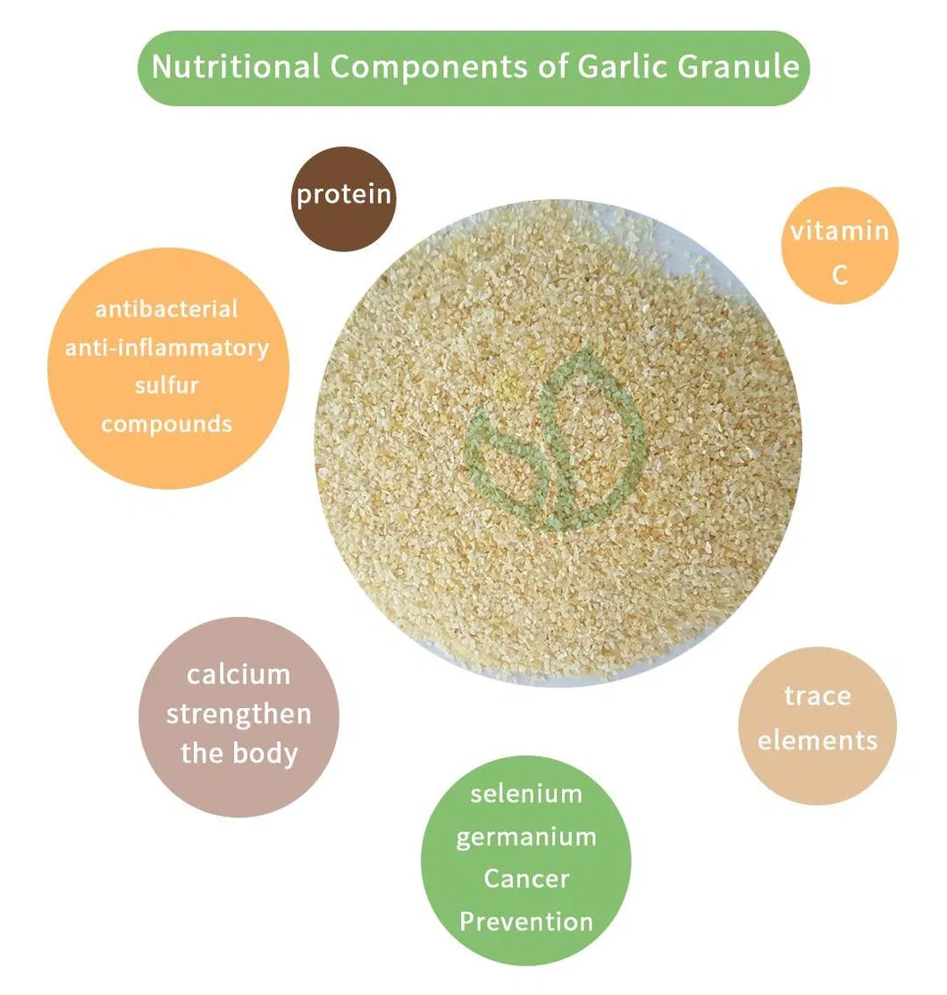 Gourmet Kitchen Bulk Spices Ground Garlic Granules for Culinary Uses