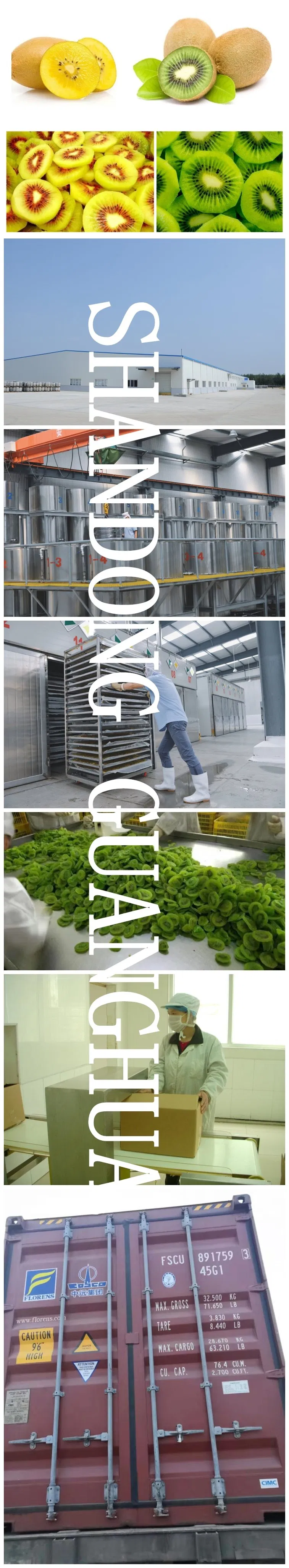 Grade AAA Best Quality Dried Kiwi New Crop