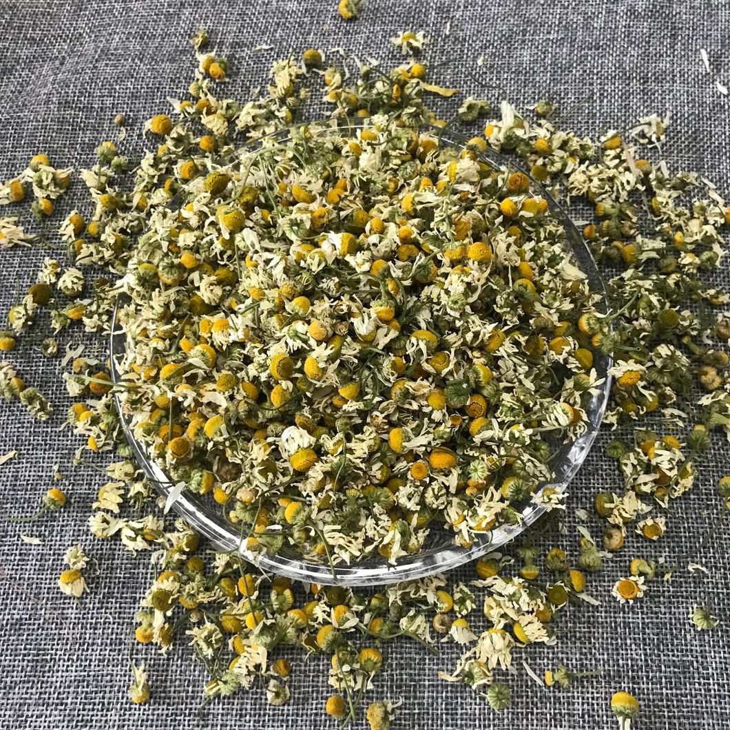 Gui Hua Wholesale Sweet Osmanthus Flower Tea