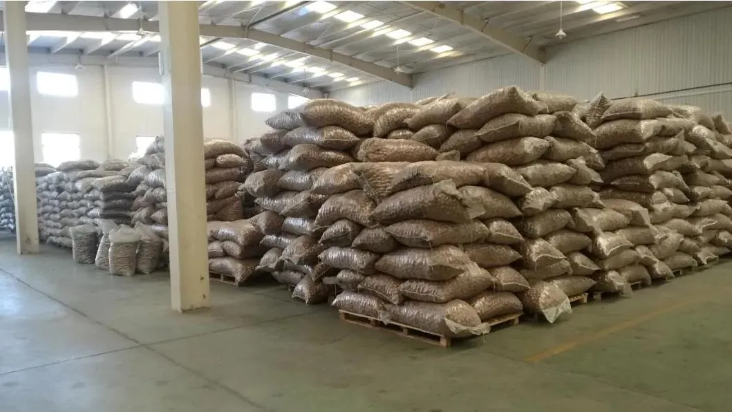 HACCP ISO China Quality 185 Walnut
