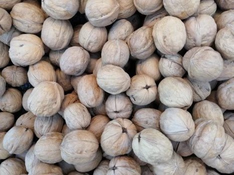 HACCP ISO China Quality 185 Walnut