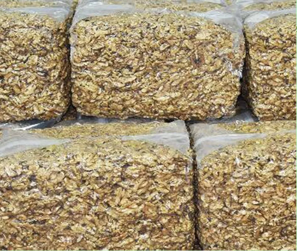 HACCP ISO China Quality 185 Walnut