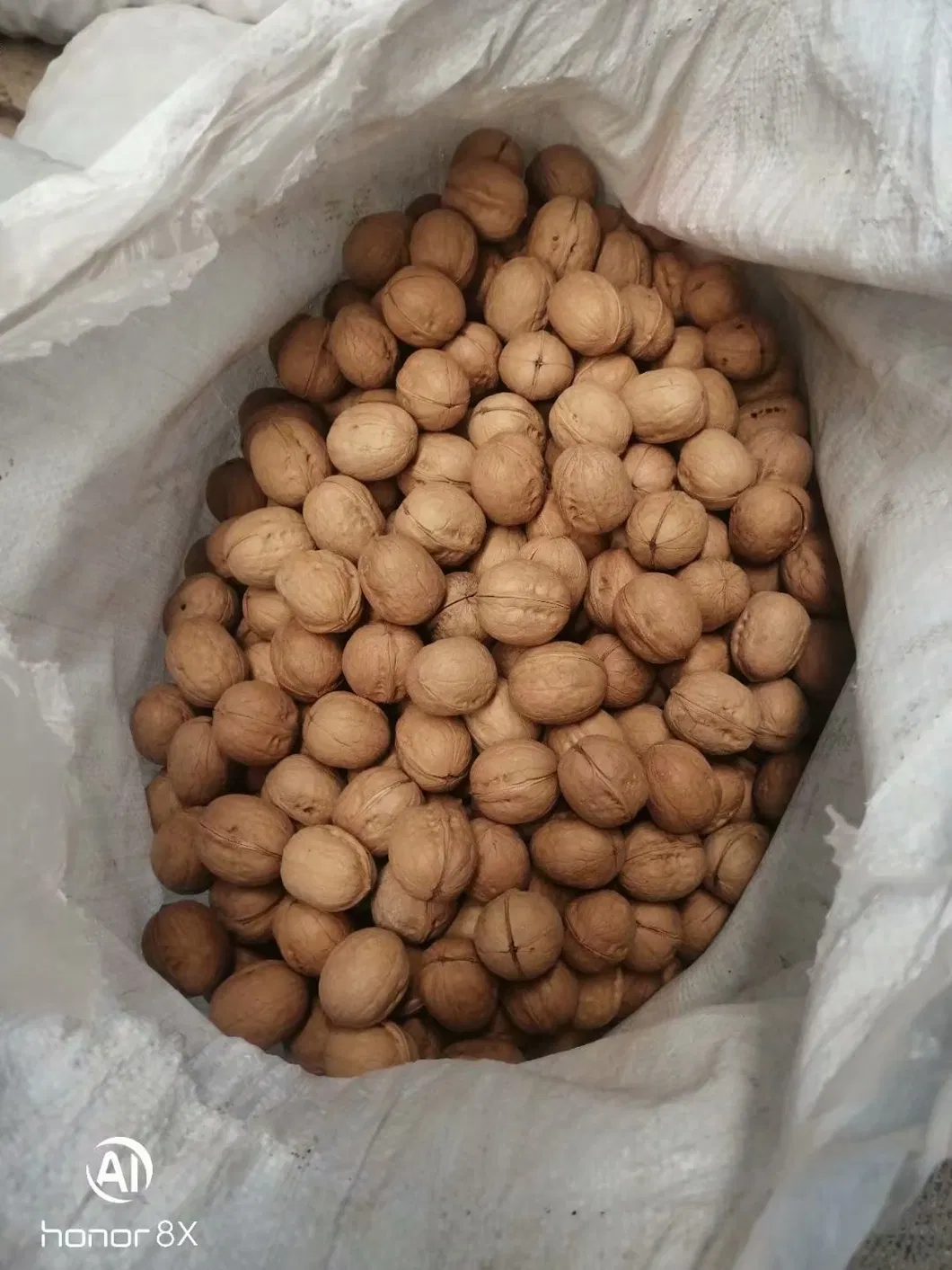 HACCP ISO Chinese Dried Fruit Thin Shell High Kernel Rate185 Walnuts Inshell