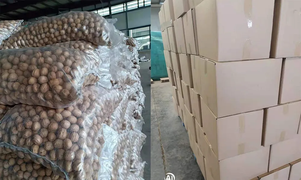 HACCP ISO Chinese Dried Fruit Thin Shell High Kernel Rate185 Walnuts Inshell
