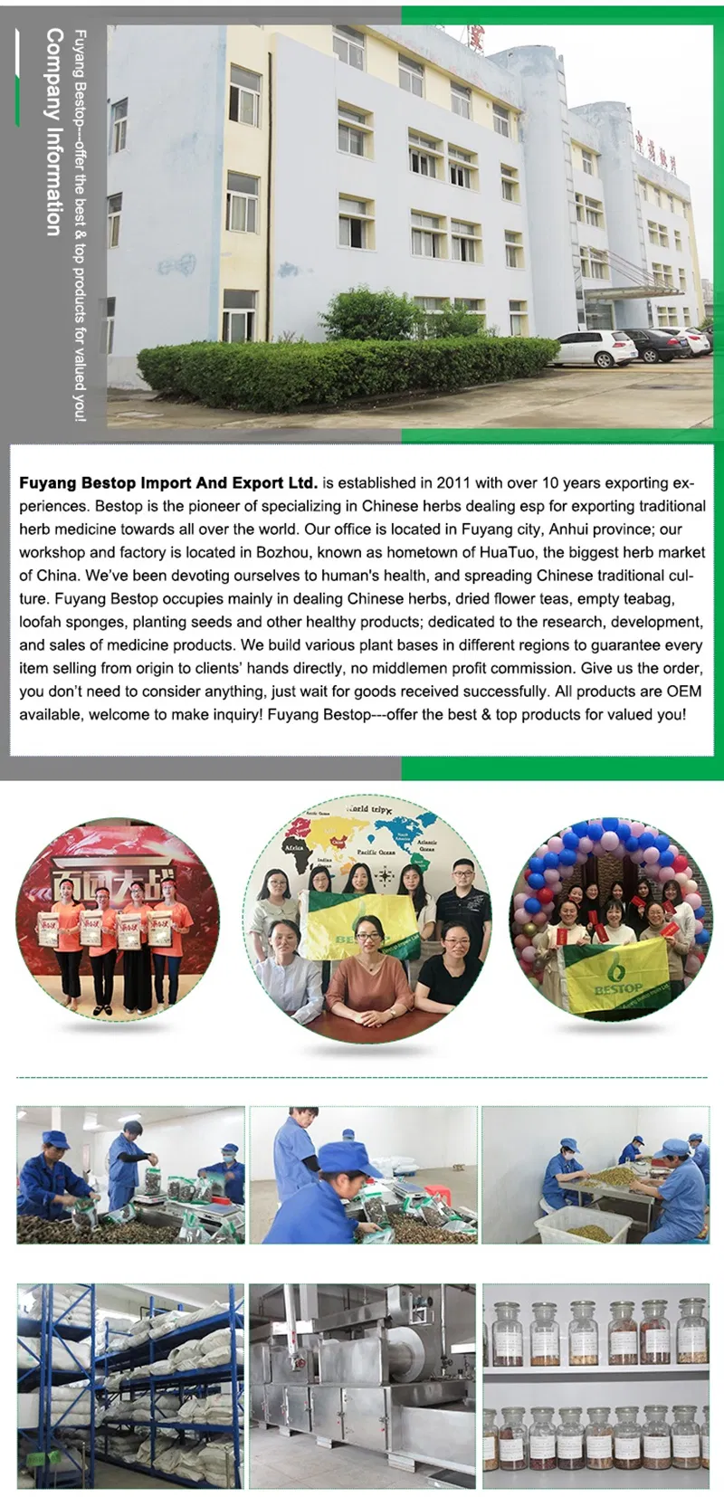 Hang Bai Ju High Quality Healthy Herbal Tea Chrysanthemum Dred Tea