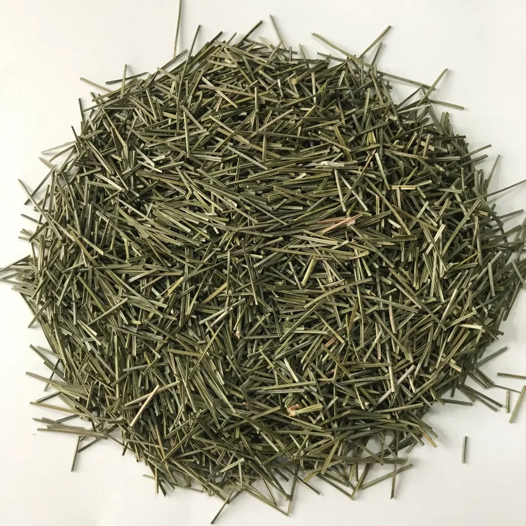 Health Food Song Zhen High Quality 100% Natural Dried Pine Needle Tea