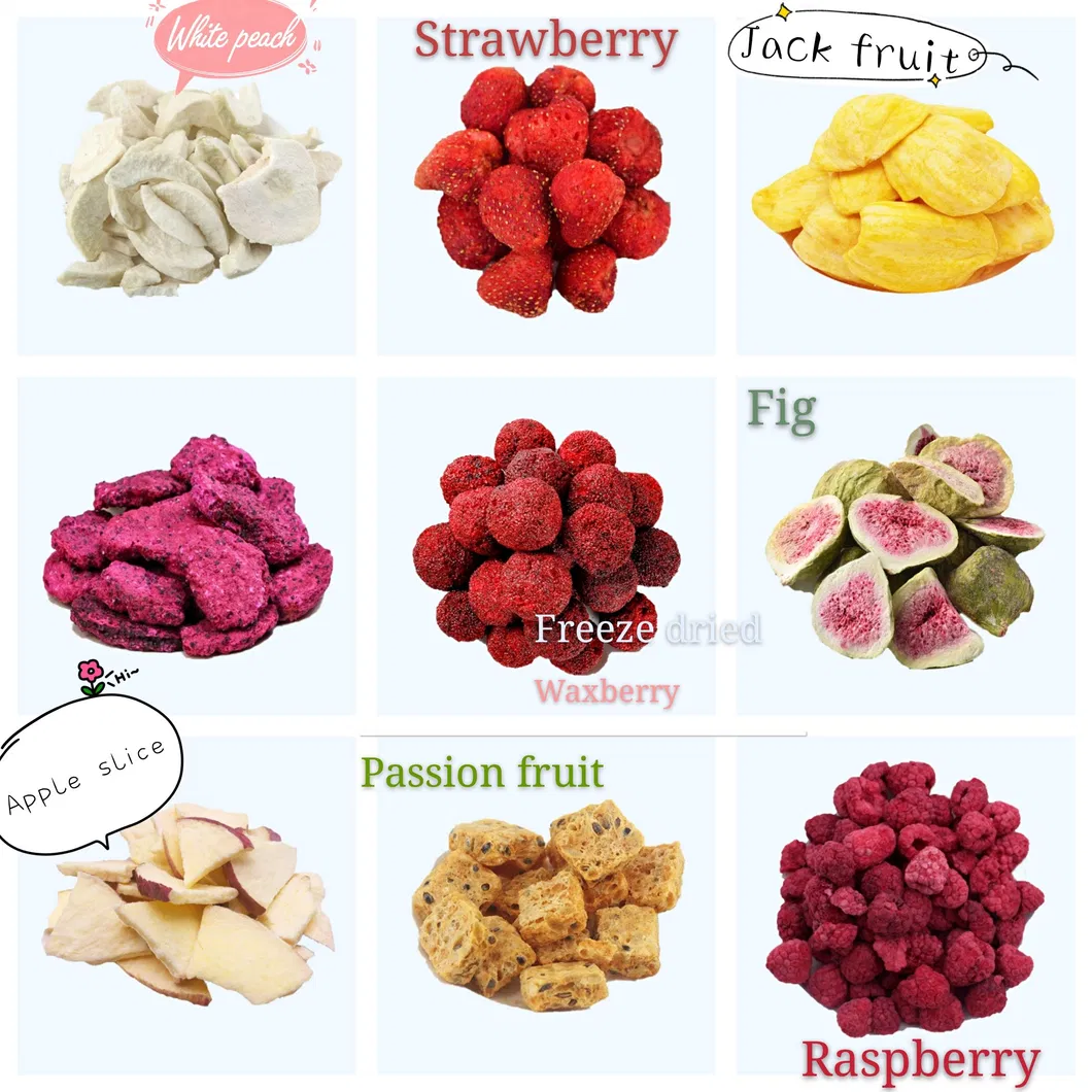 Healthy Food Freeze Dried Fruit Fd Kiwi Fruit