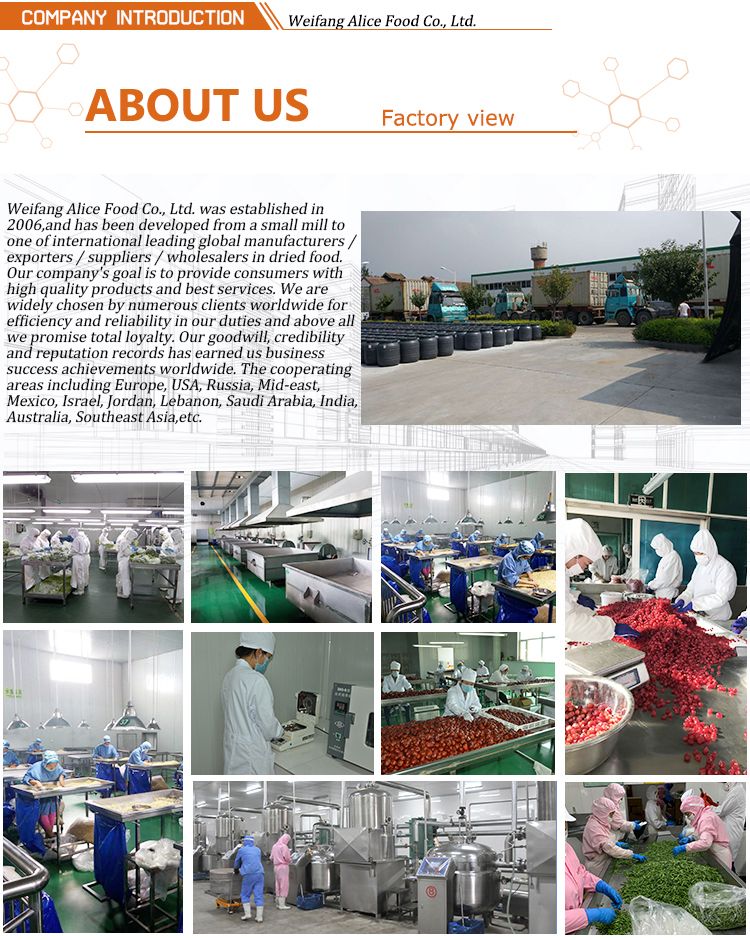 Healthy Fruit Snack Dehydrated Fruit Dried Apple Ring