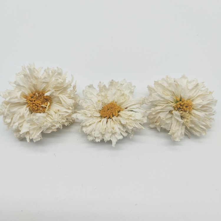 Herbal Flower Tea Xiao Bai Ju White Chrysanthemum