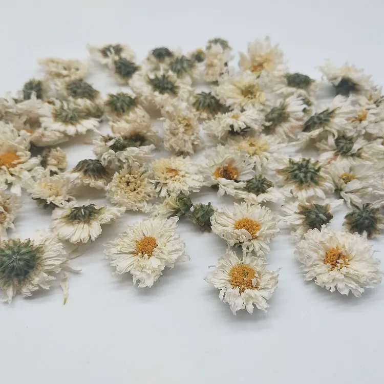 Herbal Flower Tea Xiao Bai Ju White Chrysanthemum