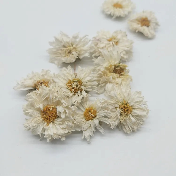 Herbal Flower Tea Xiao Bai Ju White Chrysanthemum