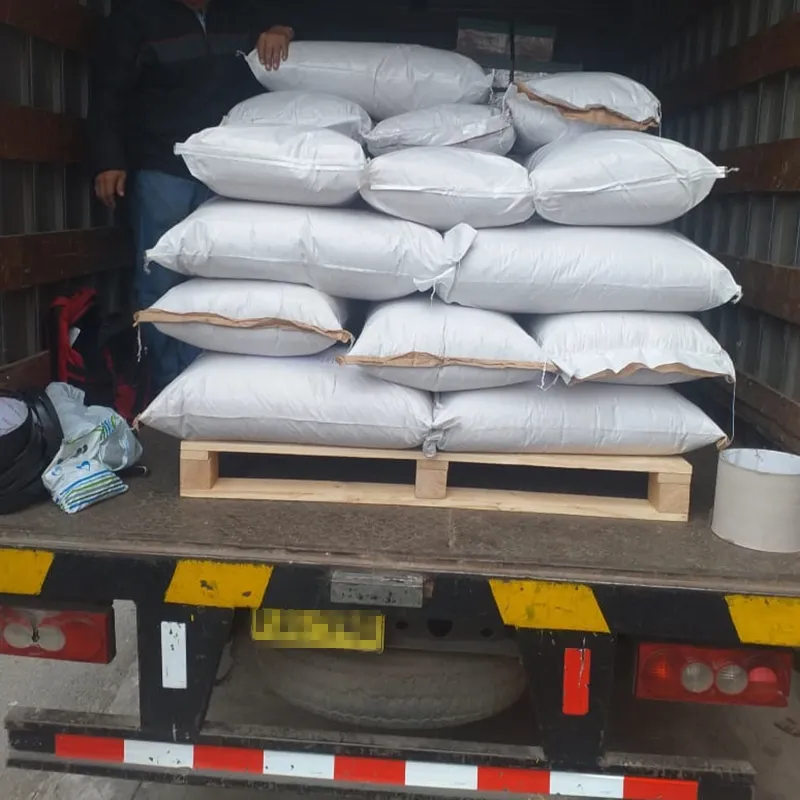 High Quality and Hot Selling China Large White Kidney Beans Baishake