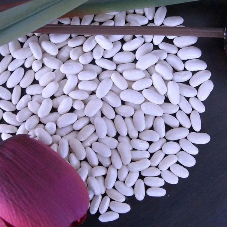 High Quality and Hot Selling China Large White Kidney Beans Baishake