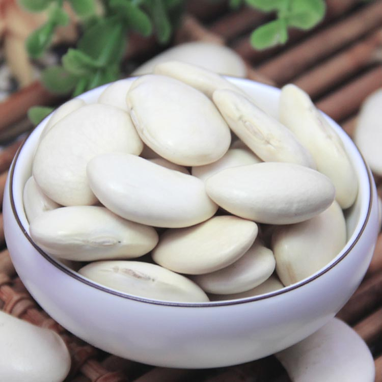 High Quality and Hot Selling China Large White Kidney Beans Baishake