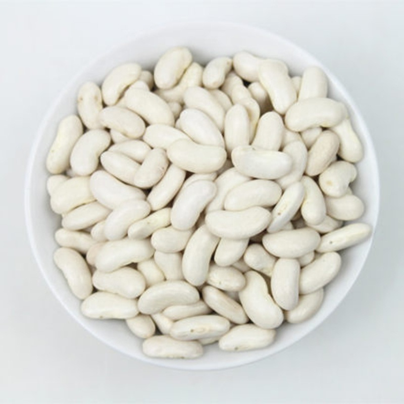 High Quality China Large White Kidney Beans Baishake at a Factory Price
