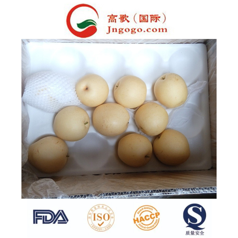 High Quality Delicious Sweet Fengshui Pear