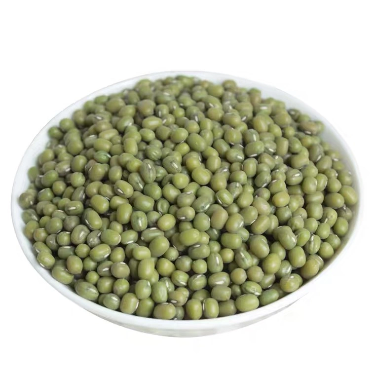 High Quality Dried for Sale Green Mung Beans