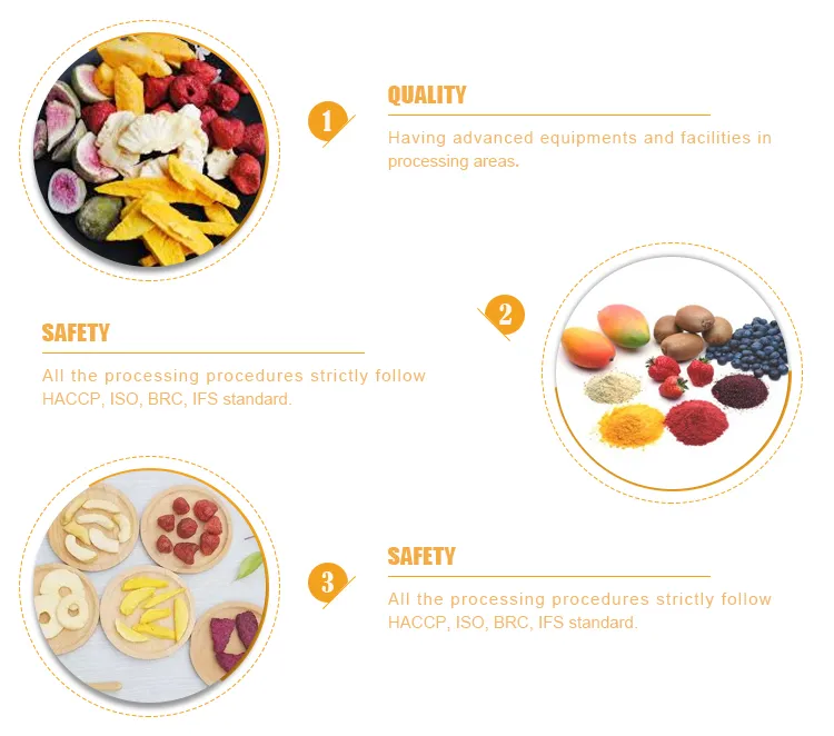 High Quality Freeze Dried Banana Chips with High Quality