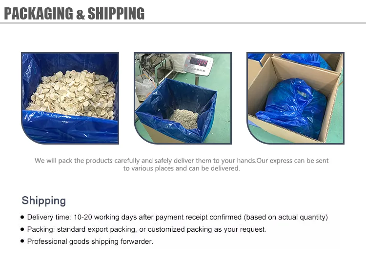 High Quality Freeze Dried Banana Chips with High Quality