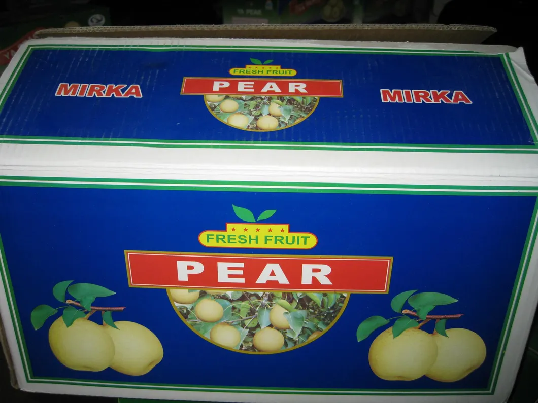 High Quality Fresh New Crop Ya Pear
