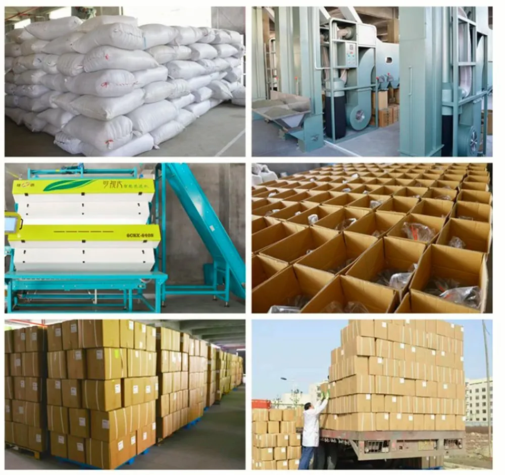 High Quality Fruit Taste Orange Puer Tea