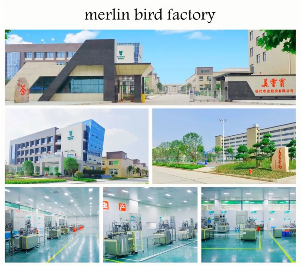 High Quality Fruit Taste Orange Puer Tea