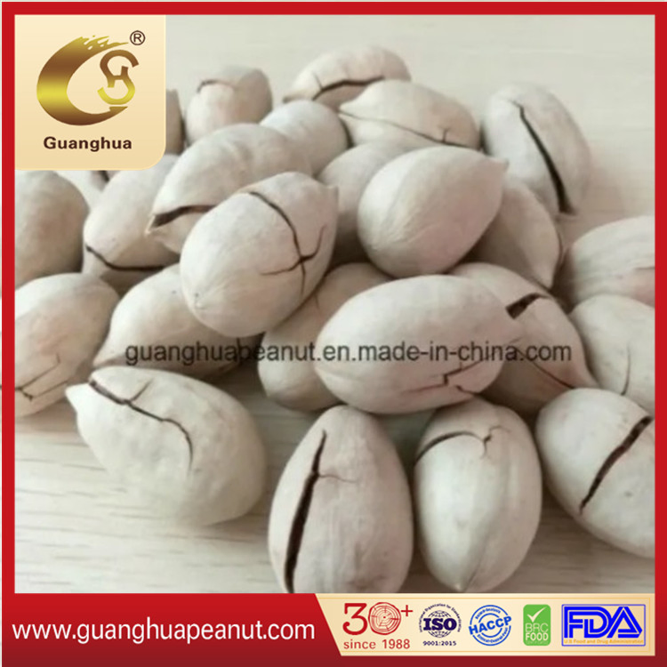 High Quality Grade Pecan Nuts From China