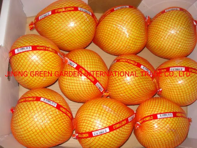 High Quality of Fresh Pomelo Fruits Wholesale Citrus Fruit Grapefruit From Chinese Factory