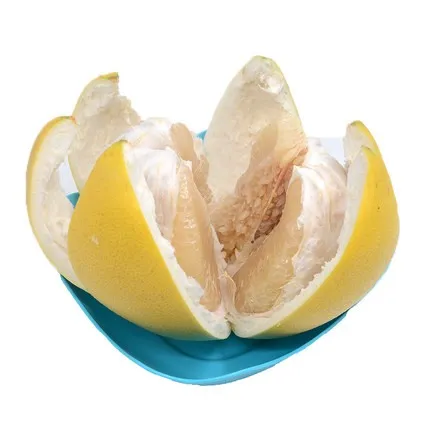 High Quality of Fresh Pomelo Fruits Wholesale Citrus Fruit Grapefruit From Chinese Factory