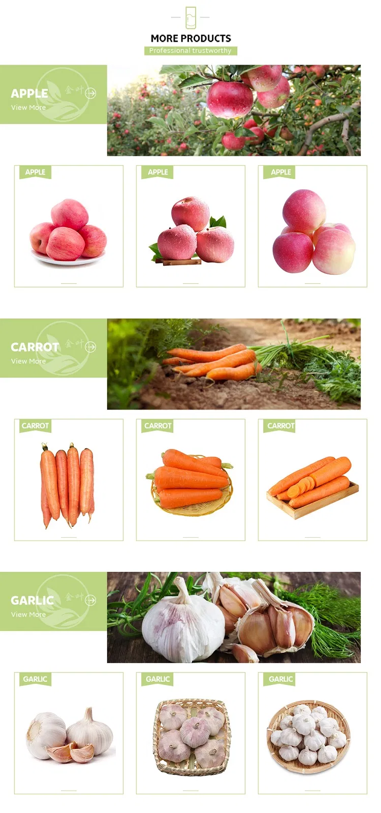 High Quality of Fresh Pomelo Fruits Wholesale Citrus Fruit Grapefruit From Chinese Factory