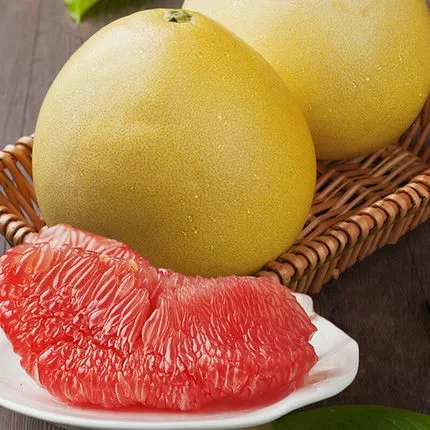 High Quality of Fresh Pomelo Fruits Wholesale Citrus Fruit Grapefruit From Chinese Factory