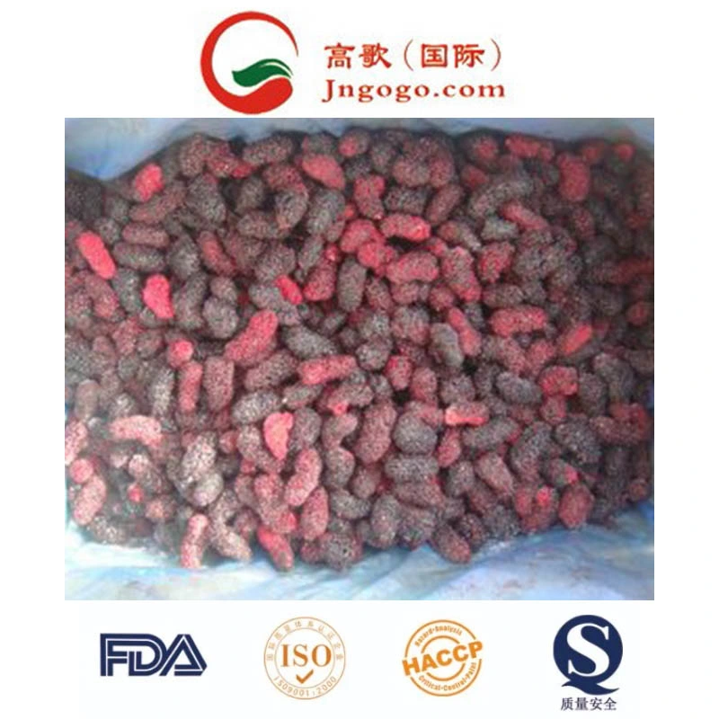 High Quality of Frozen Fruits and Mulberry for Exporting