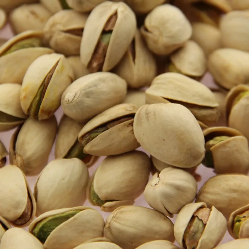 High Quality Organic Raw Pistachios with Shell in Bulk