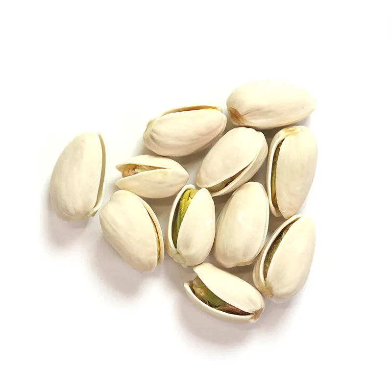 High Quality Organic Raw Pistachios with Shell in Bulk
