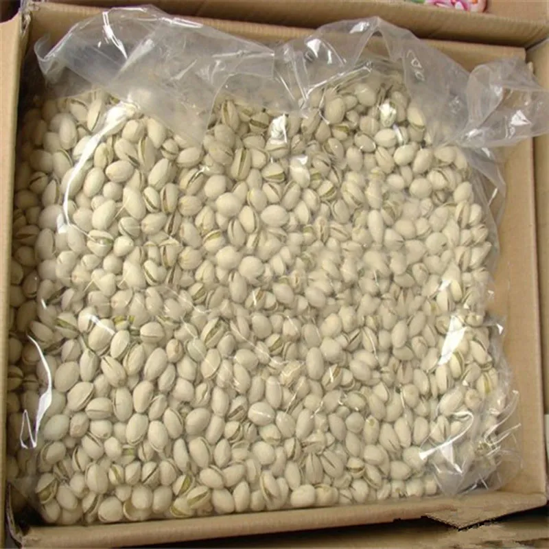 High Quality Organic Raw Pistachios with Shell in Bulk