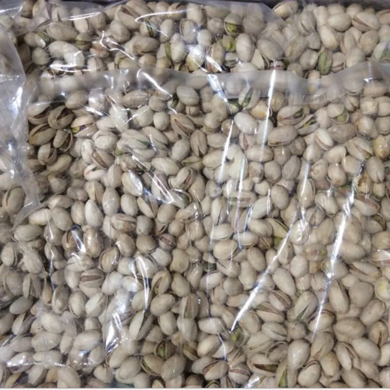High Quality Organic Raw Pistachios with Shell in Bulk