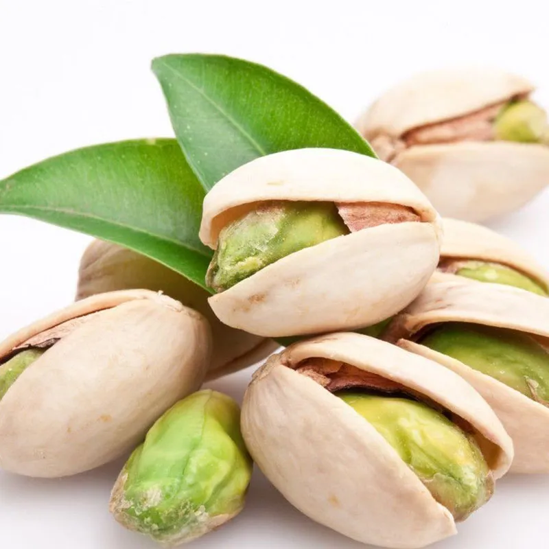 High Quality Organic Raw Pistachios with Shell in Bulk