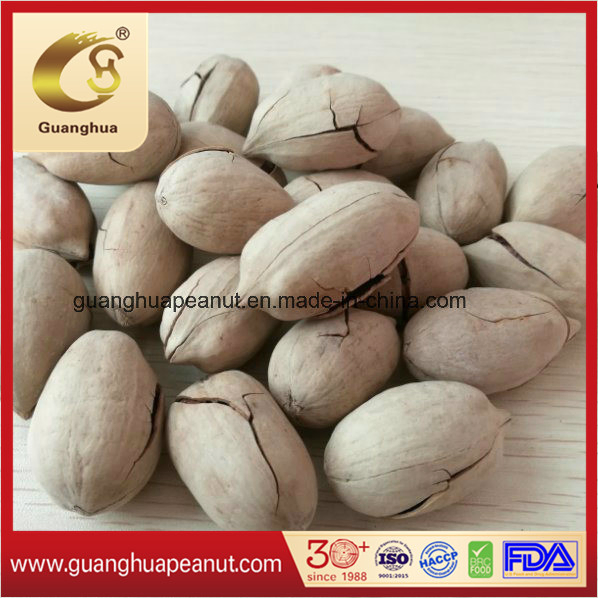 High Quality Pecan Nut Kernels with Factory Price