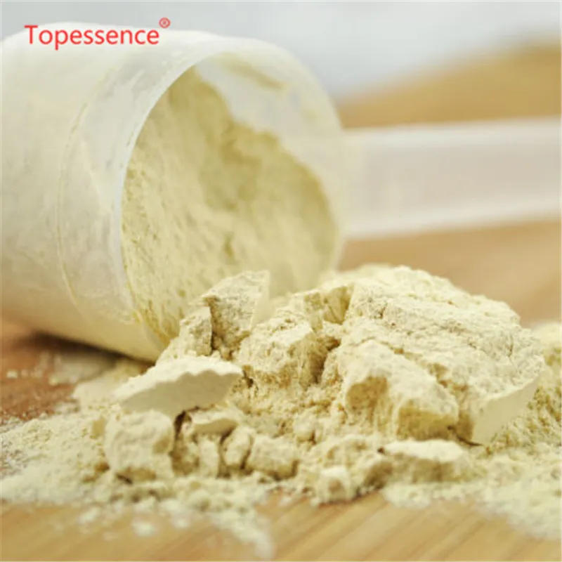 High Quality Promotion Sale Soy Protein Isolate /CAS 9010-10-0