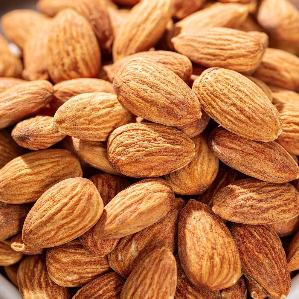 High Quality Raw Almond with Competitive Price