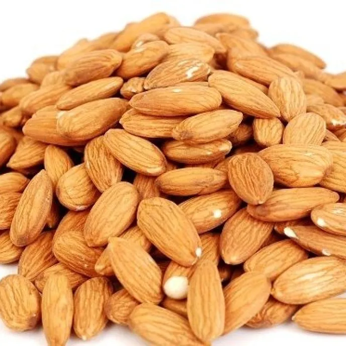 High Quality Raw Almond with Competitive Price